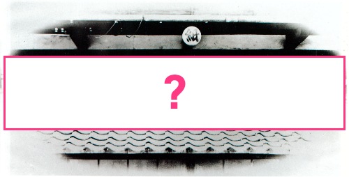 とある生き物の彫り物