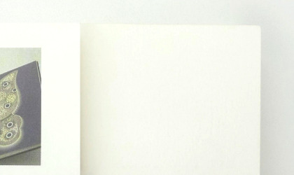 ヴァンヌーボーVG-FS